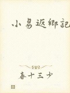 小易返乡记小说封面