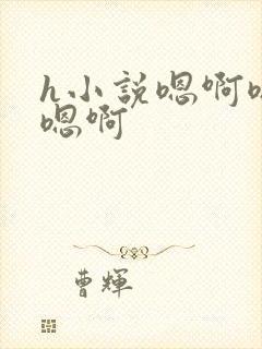 h小说嗯啊嗯啊嗯啊