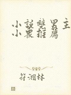 小说双男主推文小众推荐