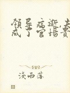 领导病逝,夫人成了官场贵人小说