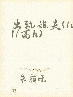 出轨姐夫(1v1/高h)