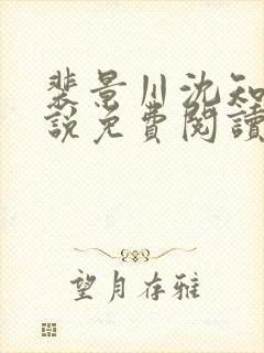 裴景川沈知意小说免费阅读最新章节