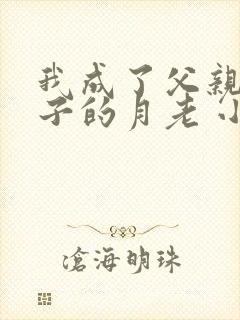 我成了父亲和妻子的月老 小说