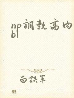 np调教高肉奴bl封面