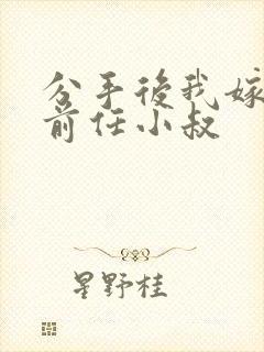 分手后我嫁给了前任小叔