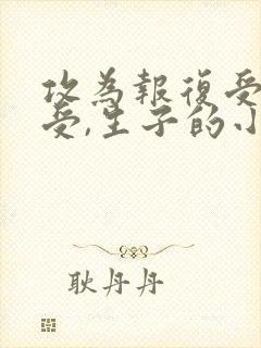 攻为报复受娶了受,生子的小说封面