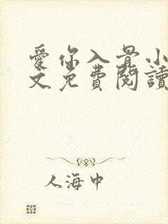 爱你入骨小说全文免费阅读