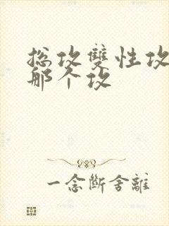 总攻双性攻玩坏那个攻