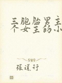 三胞胎男主和一个女主的小说