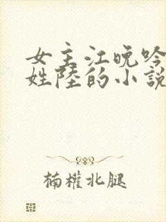 女主江晚吟男主姓陆的小说封面