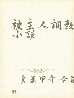 被主人调教sm小说封面