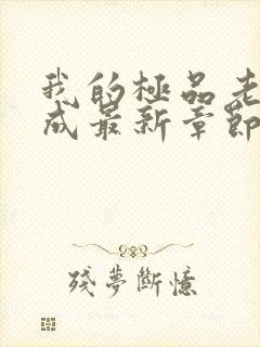 我的极品老师张成最新章节更新小说免费阅读封面