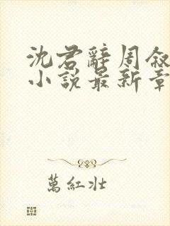 沈君辞周叙林雪小说最新章节免费阅读