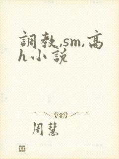 调教,sm,高h小说