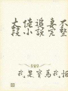 大佬追妻不择手段小说完整版大结局