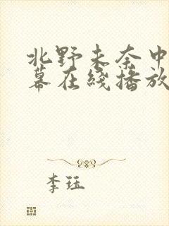 北野未奈中文字幕在线播放