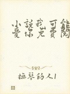 小说我可能不会爱你免费阅读