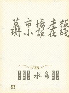 菜市场老板李芷珊小说在线阅读