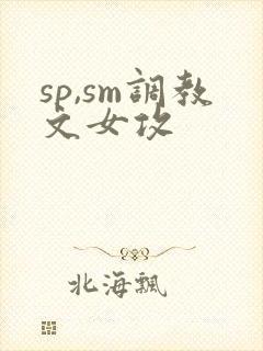sp,sm调教文女攻