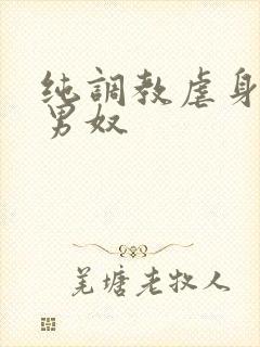 纯调教虐身惩罚男奴