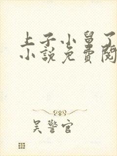 上子小舅了老婆小说免费阅读