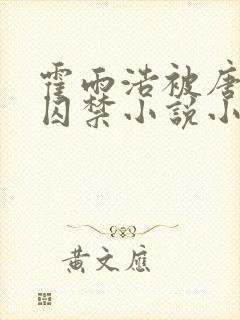 霍雨浩被唐舞麟囚禁小说小说封面