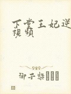 下堂王妃逆袭记视频