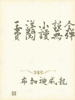 王洋小说全文免费阅读无弹窗