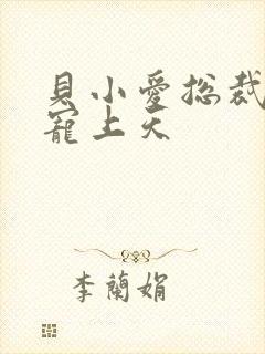 贝小爱总裁爹地宠上天