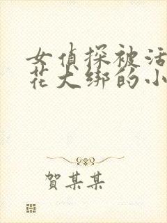 女侦探被活捉五花大绑的小说封面