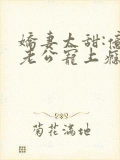 娇妻太甜:亿万老公宠上瘾小说