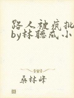 路人被疯批男主by林听成小说免费阅读