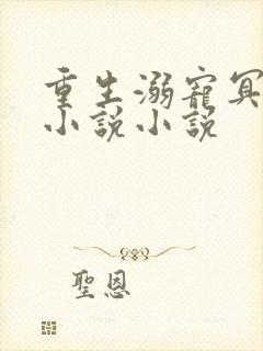 重生溺宠冥王妃小说小说封面