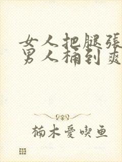 女人把腿张开让男人桶到爽