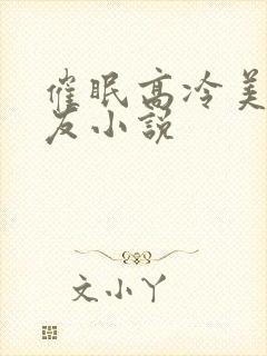 催眠高冷美人室友小说封面