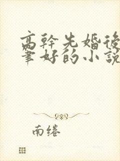 高干先婚后爱文笔好的小说推荐