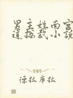 男主姓南宫的霸道总裁小说