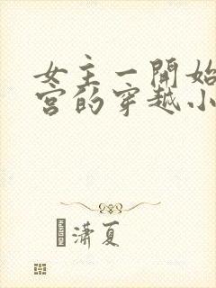 女主一开始在冷宫的穿越小说