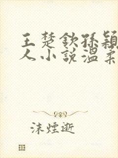 王楚钦孙颖莎同人小说温柔