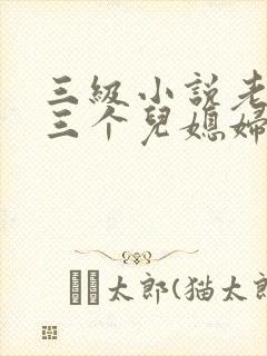 三级小说老扒和三个儿媳妇陈法蓉封面