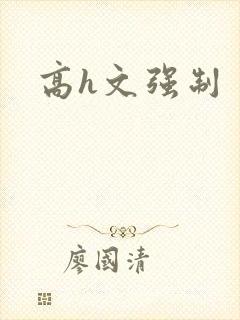 高h文强制