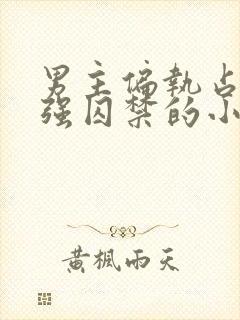 男主偏执占有欲强囚禁的小说