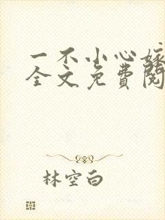 一不小心嫁总裁全文免费阅读