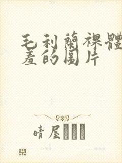 毛利兰裸体被羞羞的图片