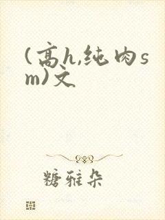 (高h,纯肉sm)文封面
