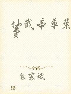 仙武帝尊叶辰免费