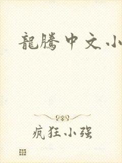 龙腾中文小说网