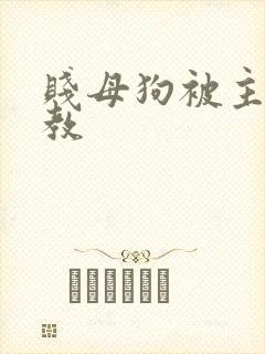 贱母狗被主人调教