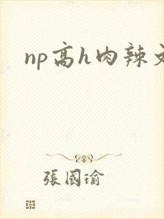 np高h肉辣文封面