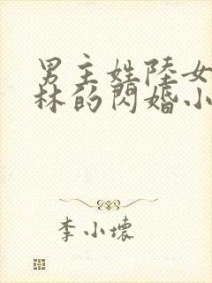 男主姓陆女主姓林的闪婚小说